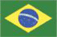 Brazil Bovina