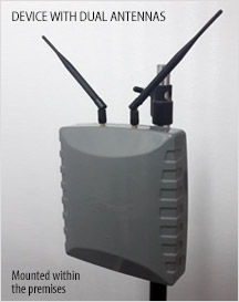 Experia Device with Dual Antennas